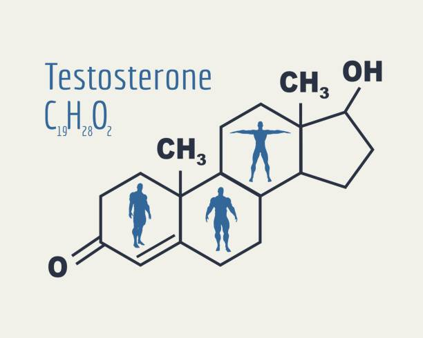 Điểm danh 5 loại thực phẩm giúp tăng Testosterone tự nhiên