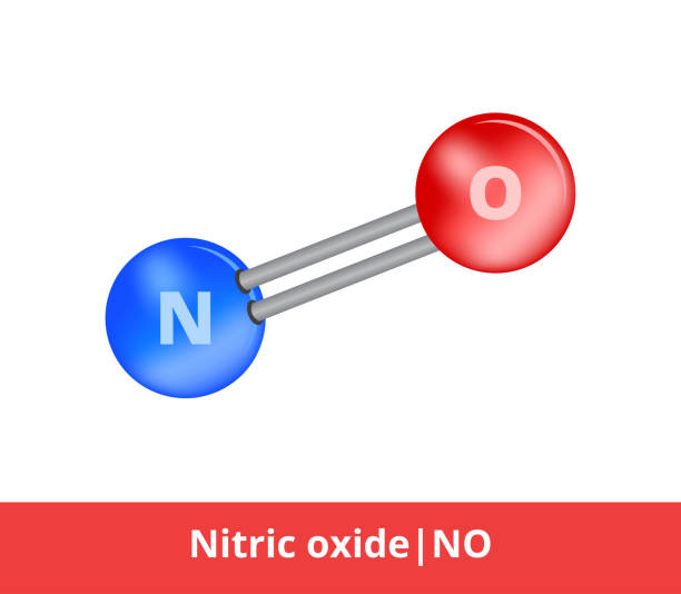 Thiếu hụt nitric oxit gây rối loạn cương dương