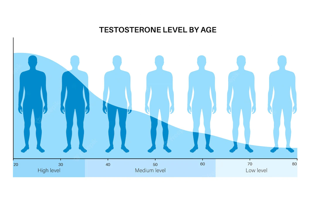 Sự suy giảm testosterone theo độ tuổi