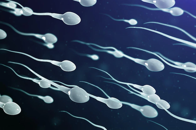 Xuất tinh sớm ảnh hưởng đến chất lượng tinh trùng và khả năng sinh sản