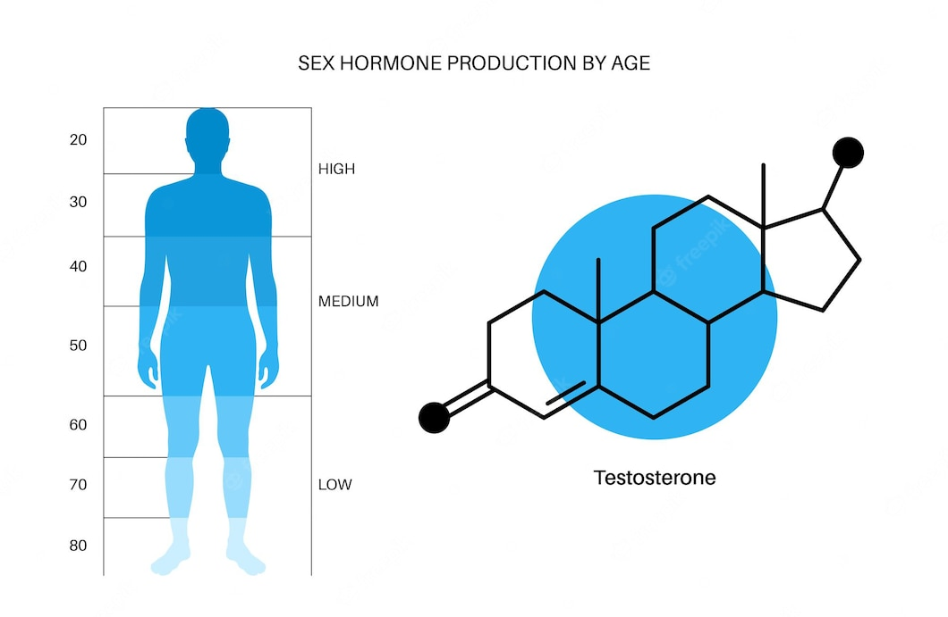 Nồng độ hormone sinh dục testosterone suy giảm theo tuổi tác