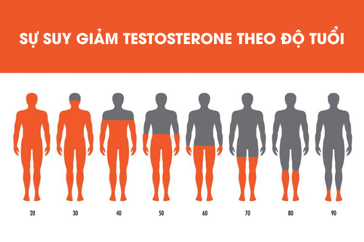 Description: Suy Giảm Testosterone Ở Quý Ông Trung Niên | Biểu Hiện, Chẩn Đoán & Điều Trị
