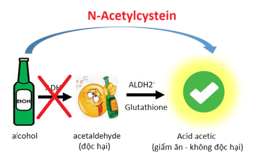 Acetaldehyde không được hình thành dưới tác động của N-Acetylcystein