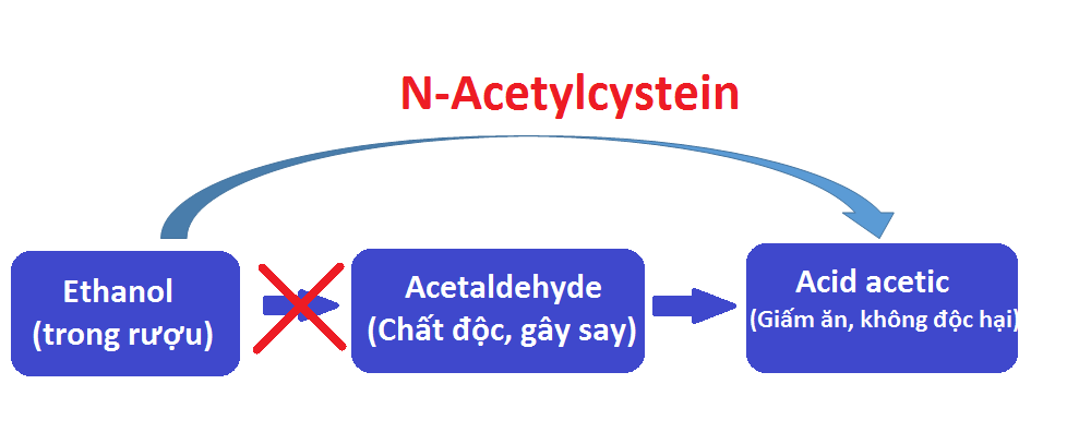  N-Acetylcystein xúc tác chuyển hóa rượu thành acid acetic.