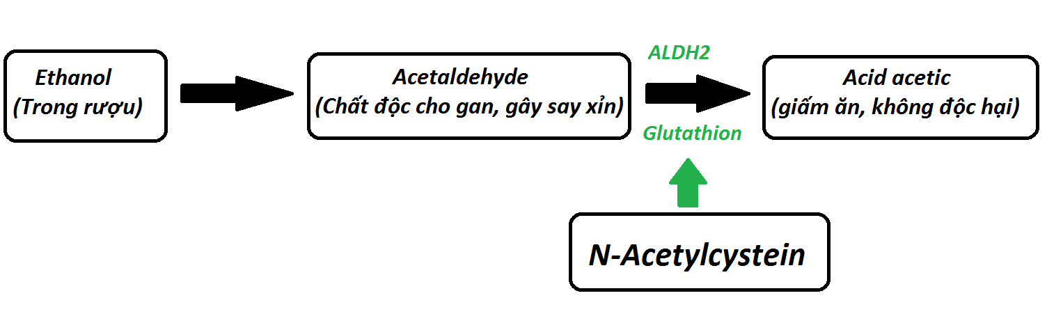 N-Acetylcystein giúp acetaldehyde nhanh chóng được chuyển thành acid acetic