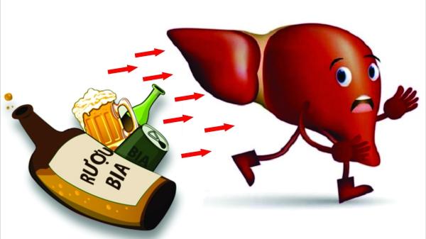 Rượu bia tàn phá lá gan bằng cách nào? Bảo vệ lá gan của bạn trước khi quá muộn!