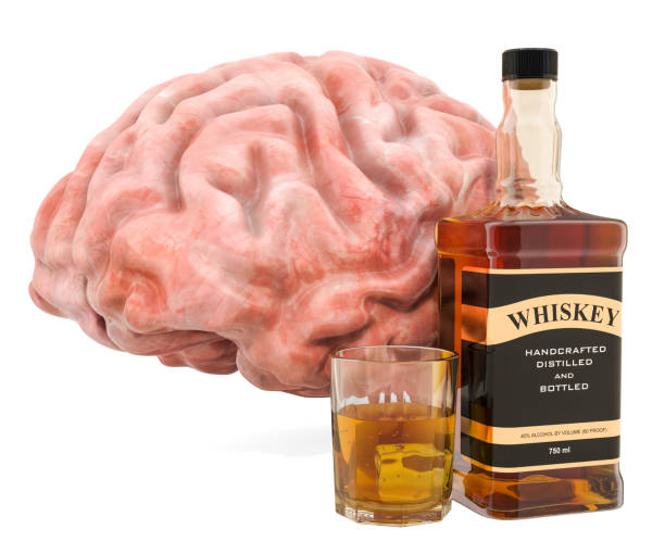 Uống rượu có tác hại gì với não bộ?