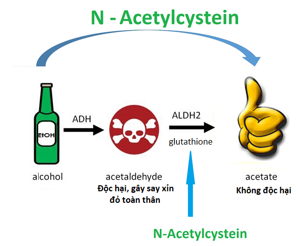 Tác dụng của  N-Acetylcysteine