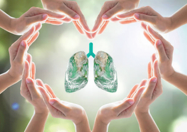 Giải độc phổi là gì?