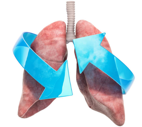 Cần lựa chọn được sản phẩm bổ phổi của Mỹ dựa trên các nhiều tiêu chí khác nhau