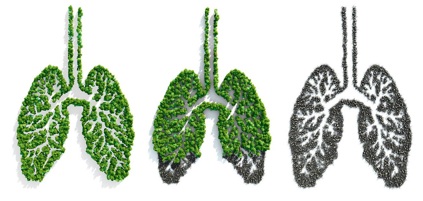 Bụi mịn làm phổi bị nhiễm độc gây ra nhiều bệnh đường hô hấp
