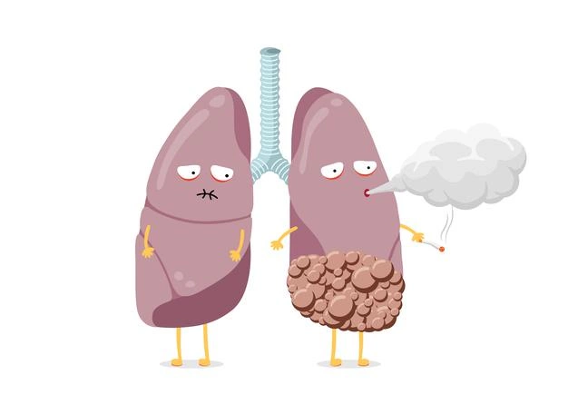 Giải pháp giúp hồi phục lá phổi yếu trở nên khỏe mạnh