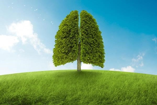 BoniDetox – Giải pháp từ Mỹ giúp giữ cho lá phổi luôn khỏe mạnh