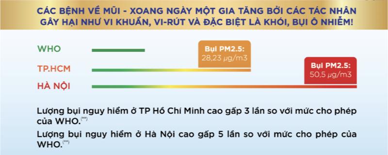 Chỉ số bụi mịn tại Hà Nội và thành phố Hồ Chí Minh luôn ở mức cao.