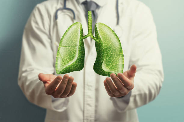 Làm sao để giải độc và bảo vệ phổi hiệu quả?