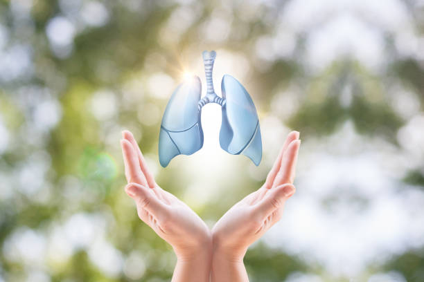 Giải độc phổi là nhiệm vụ quan trọng không thể bỏ qua
