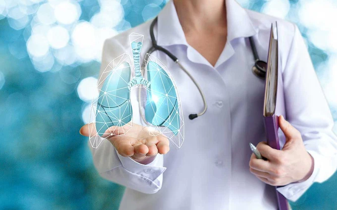 Lá ô liu giúp giải độc phổi và giảm nguy cơ mắc ung thư phổi hiệu quả