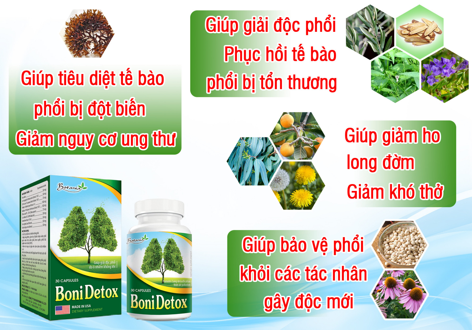 Thành phần toàn diện của BoniDetox