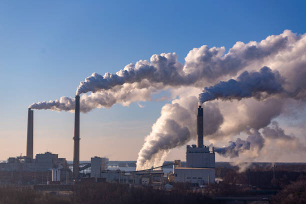 Môi trường không khí bị ô nhiễm là tác nhân gây nhiễm độc phổi