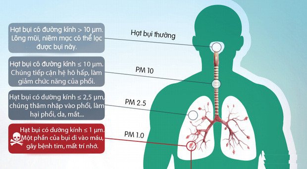Ảnh hưởng của bụi mịn đến sức khỏe của phổi và toàn bộ cơ thể