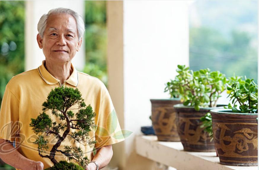 Ông Võ Hoành, 83 tuổi