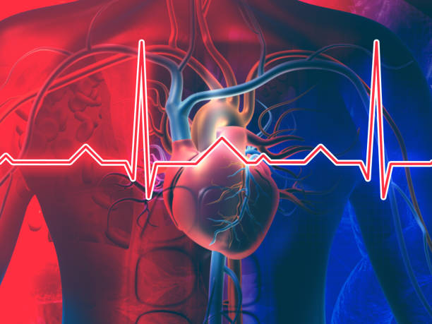 Lượng glucose trong máu cao dễ gây biến chứng nhồi máu cơ tim