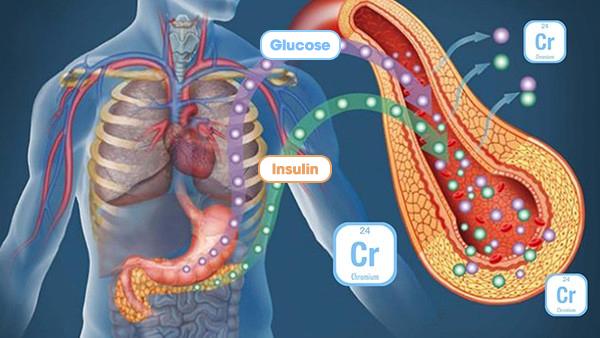 Crom giúp tăng độ nhạy insulin
