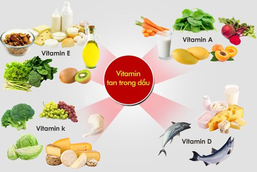 Lipid thúc đẩy quá trình hấp thu các vitamin tan trong dầu