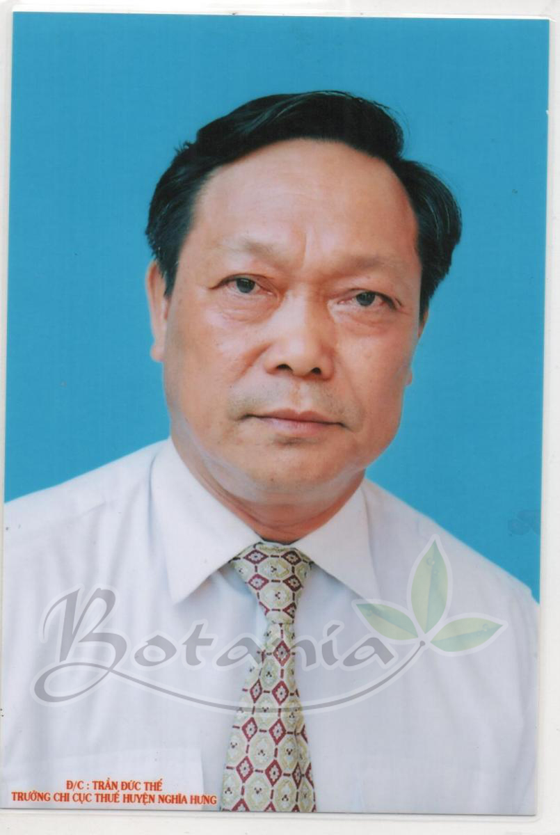 Bác Trần Đức Thế, 71 tuổi, ở số 143 Trần Khánh Dư-Phường Lộc Vượng-TP Nam Định- tỉnh Nam Định, số điện thoại:  0912.187.539