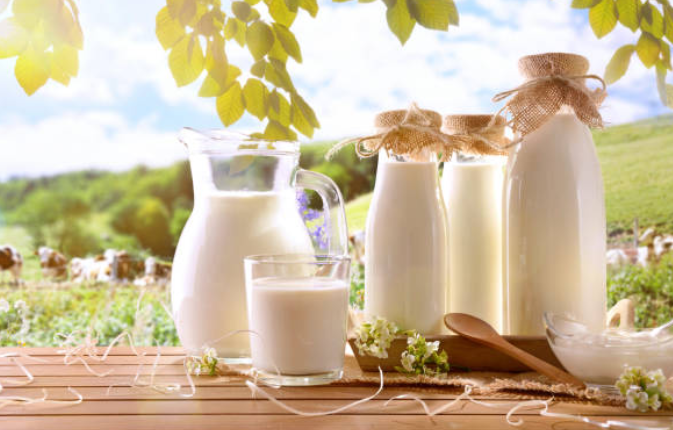 Sữa có làm tăng acid uric máu không?