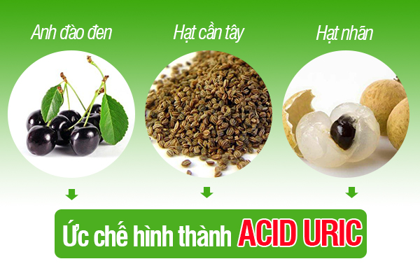 Nhóm thành phần giúp ức chế hình thành acid uric