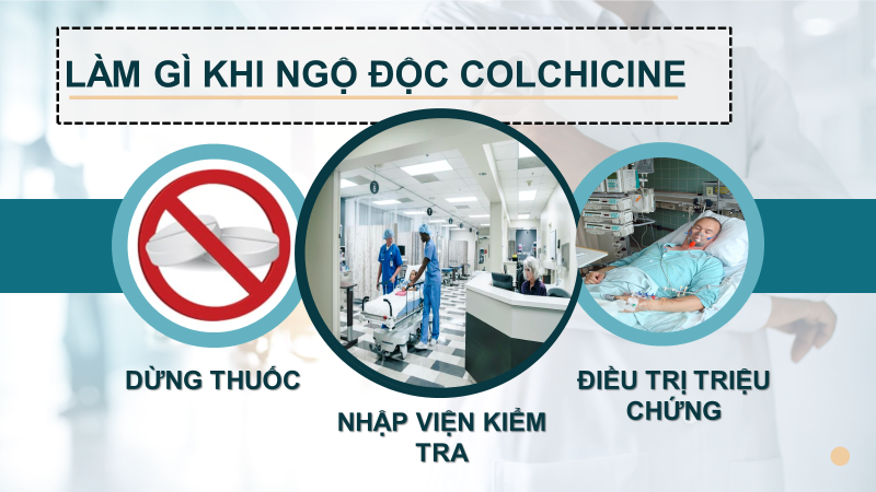 Bệnh nhân cần làm gì khi phát hiện ngộ độc Colchicine
