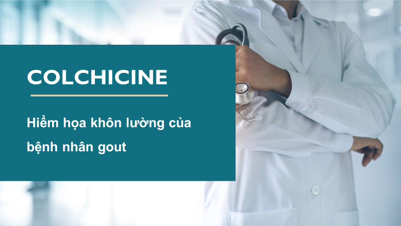 Bệnh nhân gút rất dễ ngộ độc Colchicine gây tử vong