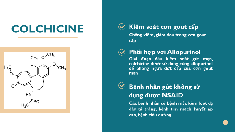 Colchicine - Thuốc chống viêm trong cơn gút cấp