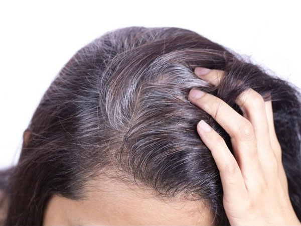 Thực hư các bài thuốc trị tóc bạc sớm theo y học cổ truyền