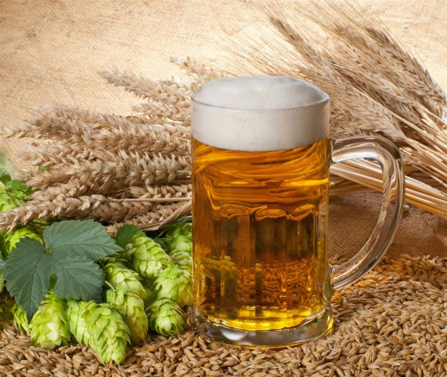 Bia rất giàu protein từ hoa bia và mạch nha