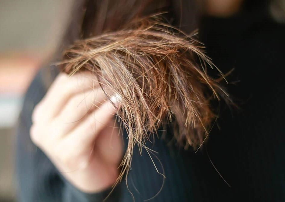 Những lưu ý khi chăm sóc tóc chẻ ngọn cho phái nữ