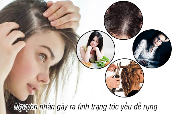 Nguyên nhân và cách khắc phục tình trạng tóc yếu dễ rụng