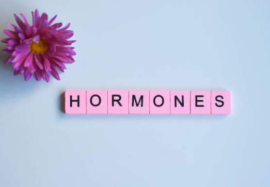 Rối loạn hormone trong cơ thể là nguyên nhân gây rụng tóc tiền mãn kinh