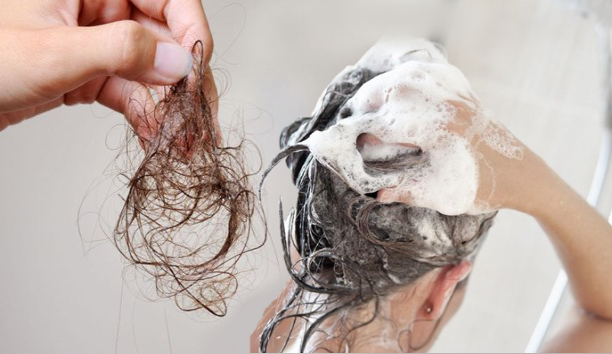 Giải đáp: Gội đầu bị rụng tóc nhiều phải làm sao?