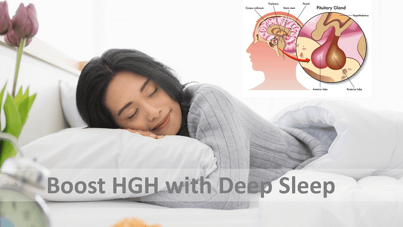 HGH giúp tái tạo giấc ngủ sinh lý và ngược lại.