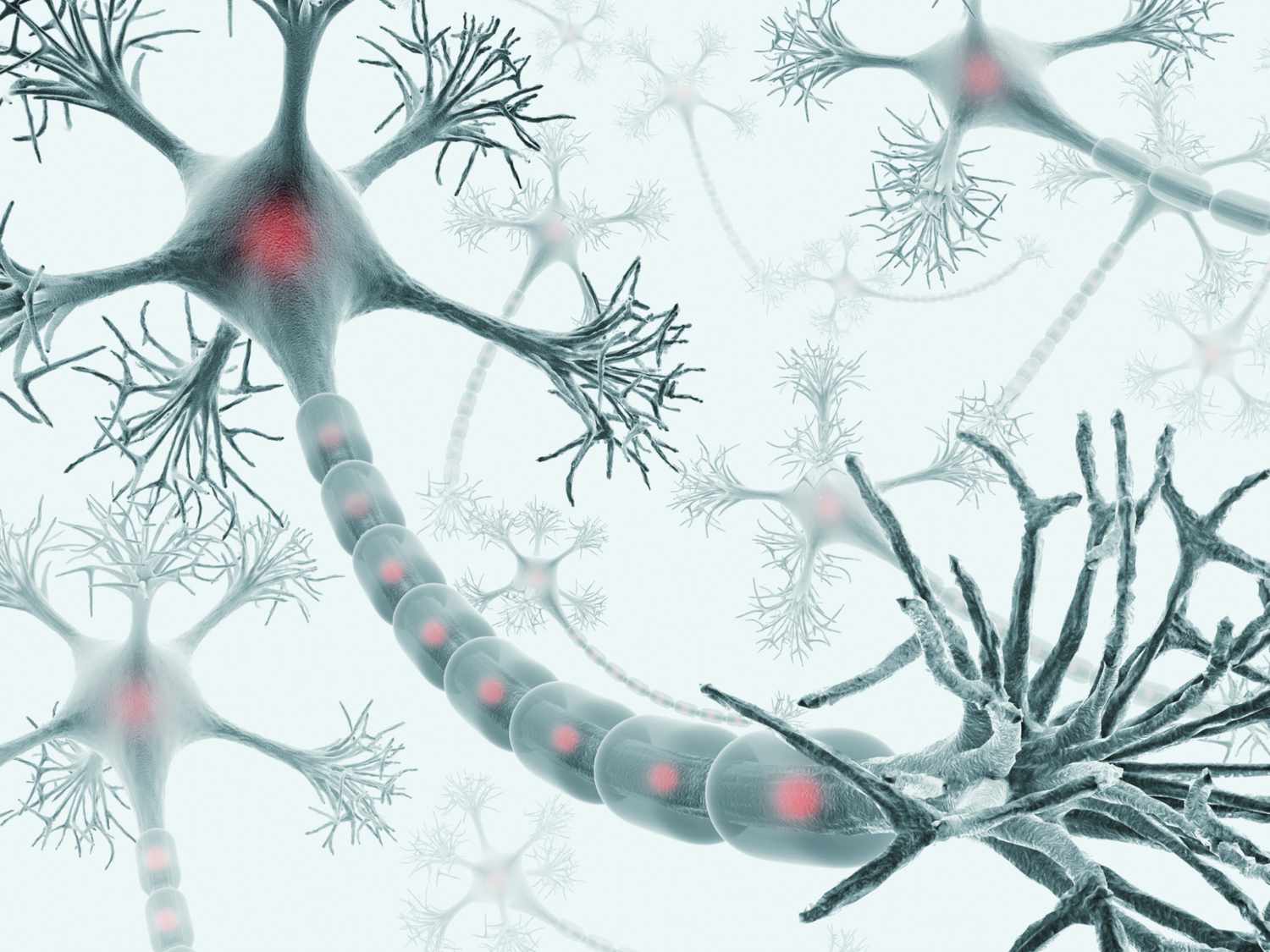  Làm cách nào để não bộ sản xuất nhiều tế bào thần kinh hơn?