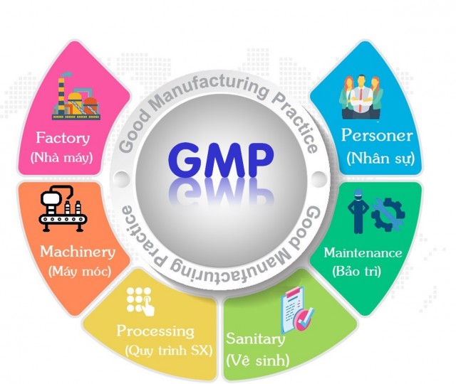 Bạn nên lựa chọn cơ sở sản xuất đạt tiêu chuẩn GMP của WHO và FDA