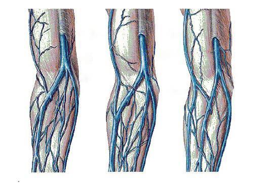 Hệ thống tĩnh mạch tại bắp chân
