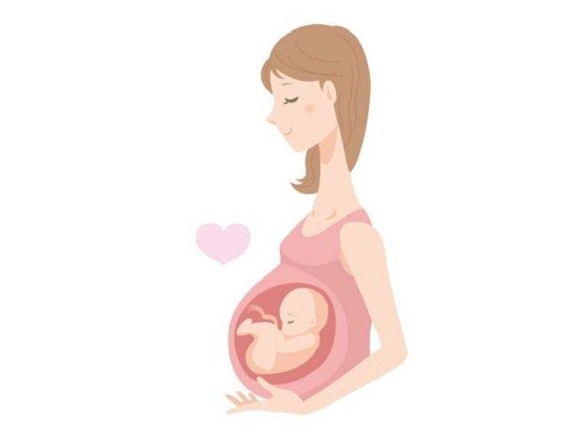 Áp lực từ trọng lượng của thai nhi sẽ làm tăng nguy cơ mắc bệnh trĩ cho mẹ
