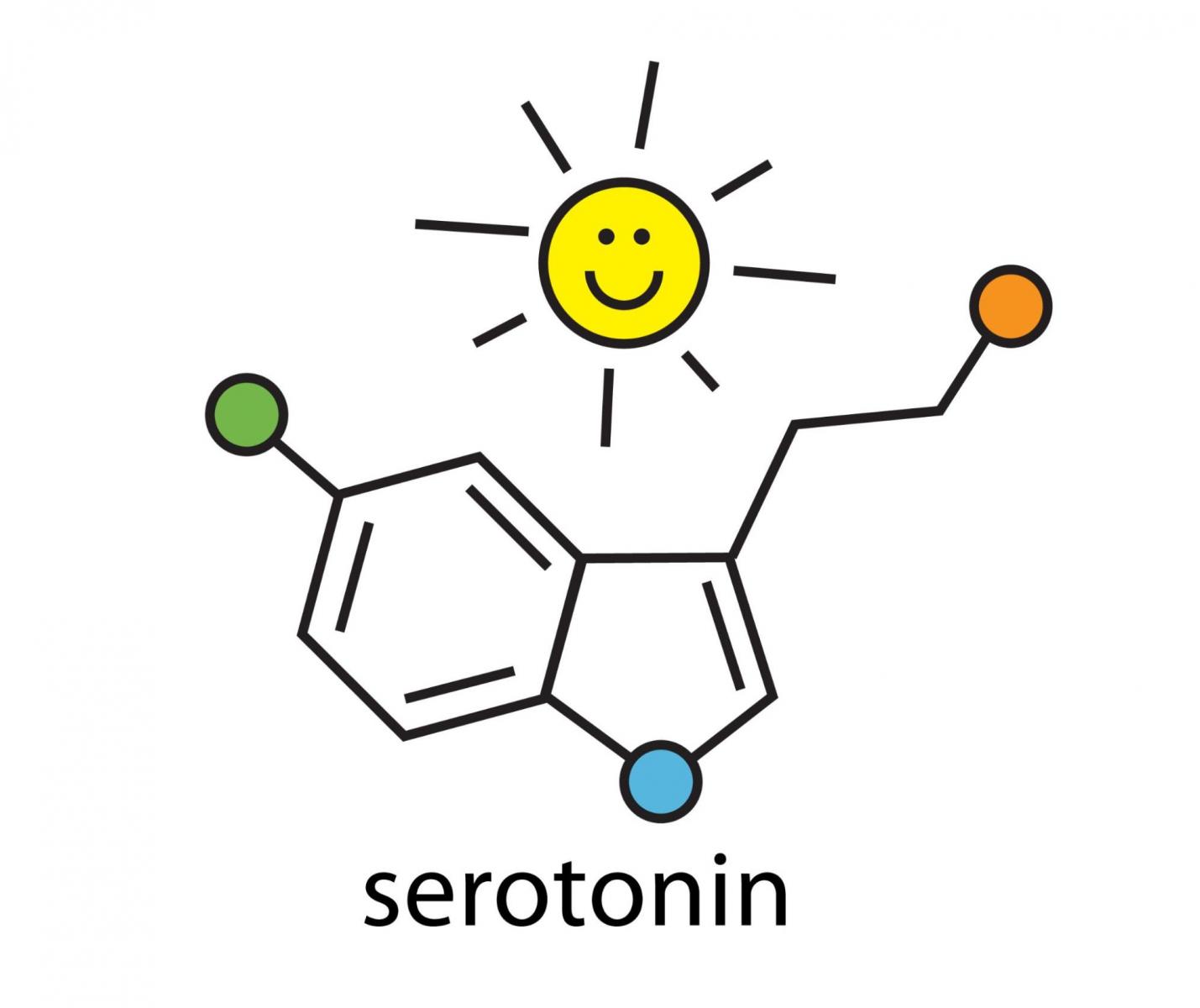 Serotonin là hormon hạnh phúc của cơ thể
