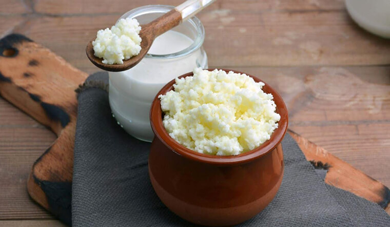 Nấm sữa kefir có nhiều lợi khuẩn, vitamin, khoáng chất và không chứa lactose