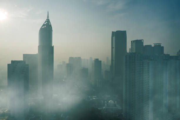 Ô nhiễm không khí: Làm gì để phổi khỏe?