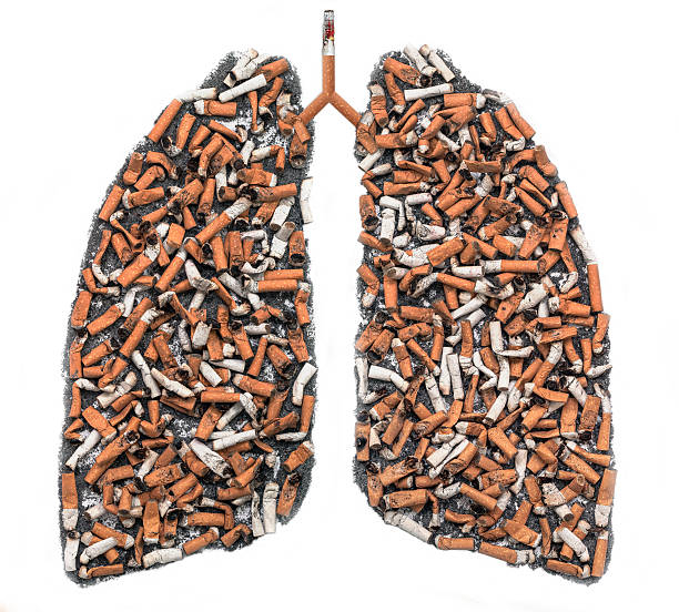 Hóa chất trong khói thuốc lá tàn phá hai lá phổi