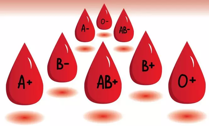 Con người có hơn 8 nhóm máu cơ bản